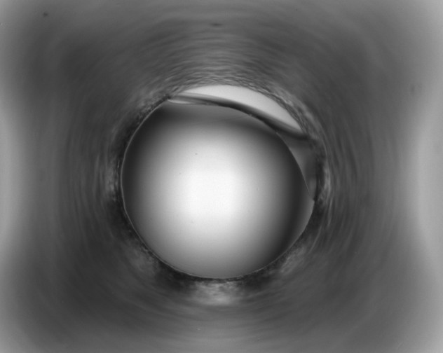 X0000086780517200704271812