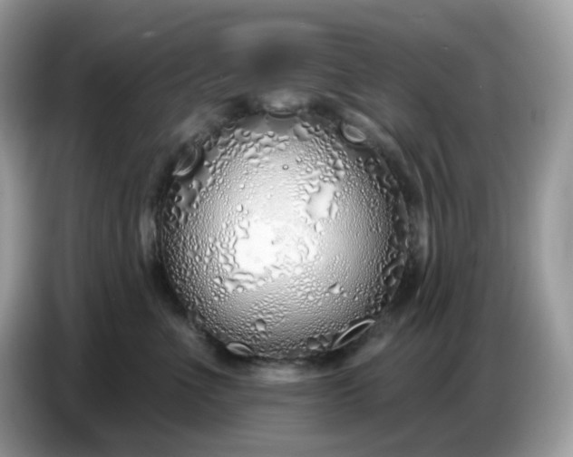 X0000086780523200704271812