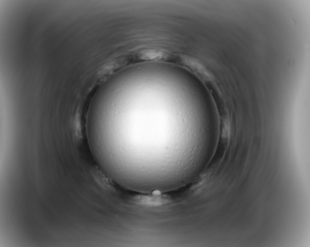 X0000086780524200704271812