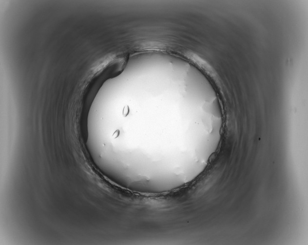 X0000086780529200704271812