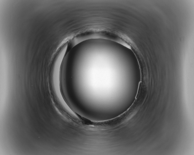 X0000086780530200704271812