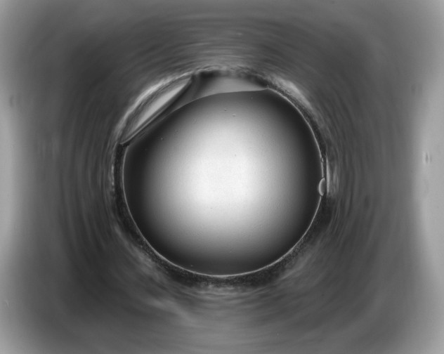 X0000086780531200704271812