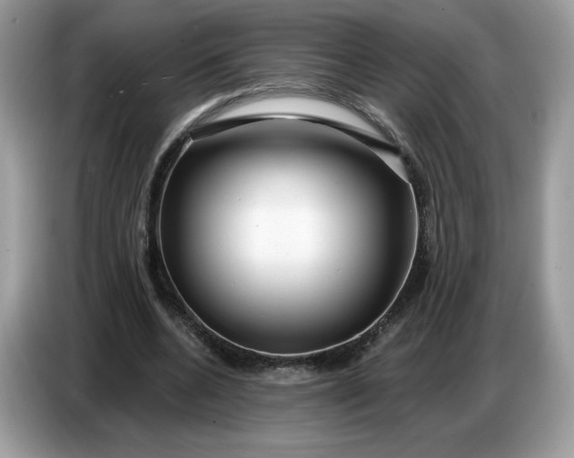 X0000086780536200704271812