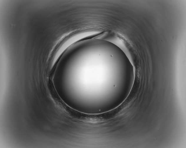 X0000086780540200704271812