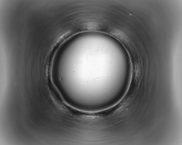 X0000086780542200704271812