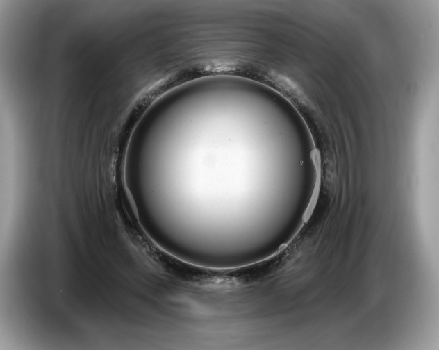 X0000086780543200704271812