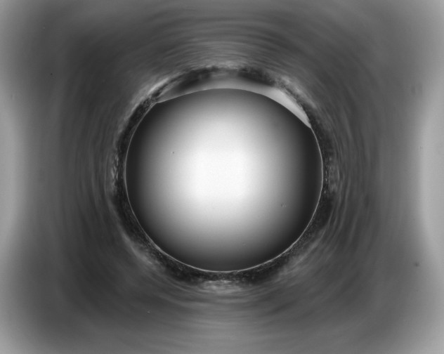 X0000086780544200704271812