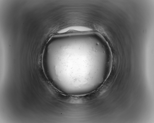 X0000086780545200704271812