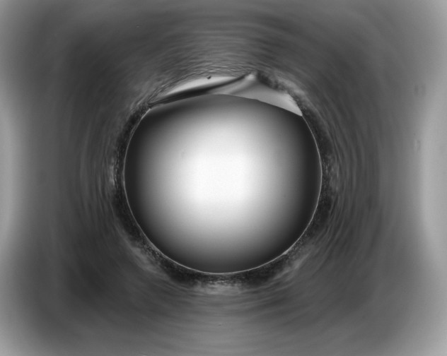 X0000086780546200704271812