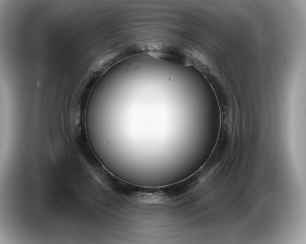 X0000086780548200704271812