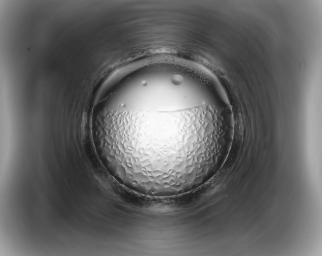 X0000086780550200704271812