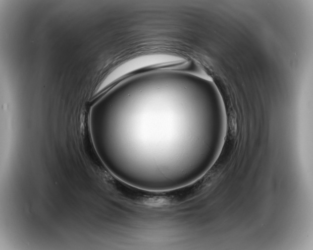 X0000086780551200704271812