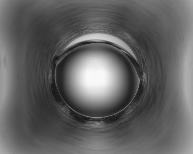 X0000086780552200704271812