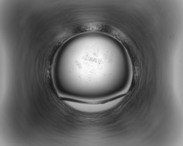 X0000086780553200704271812