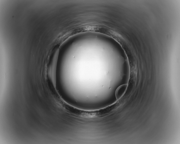 X0000086780554200704271812