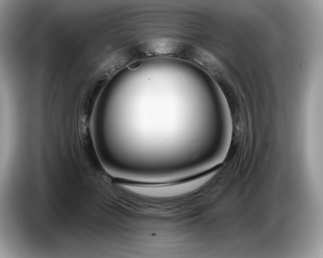 X0000086780555200704271812