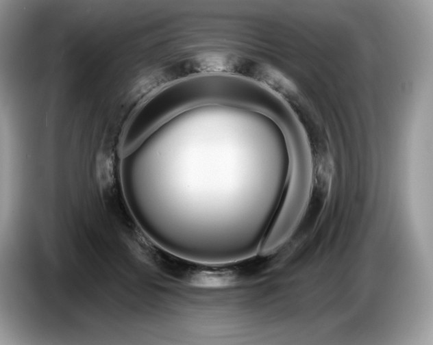 X0000086780556200704271812