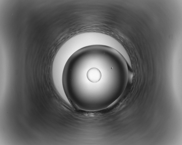 X0000086780558200704271812