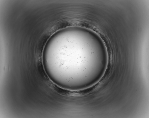 X0000086780561200704271812