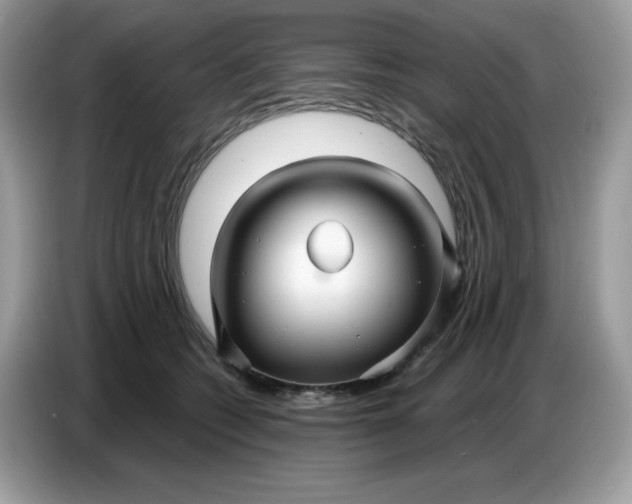 X0000086780562200704271812