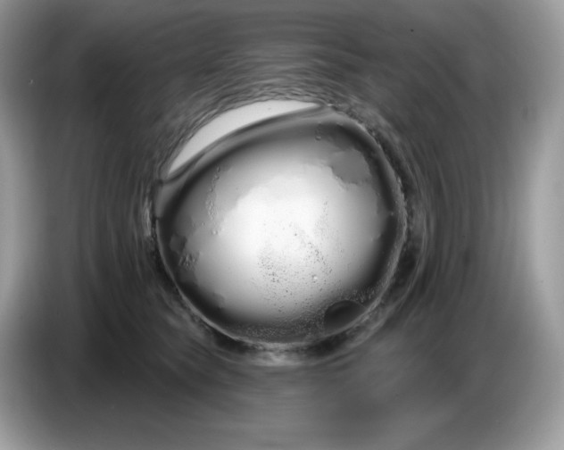 X0000086780565200704271812