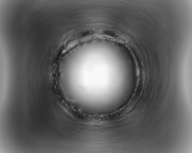 X0000086780568200704271812