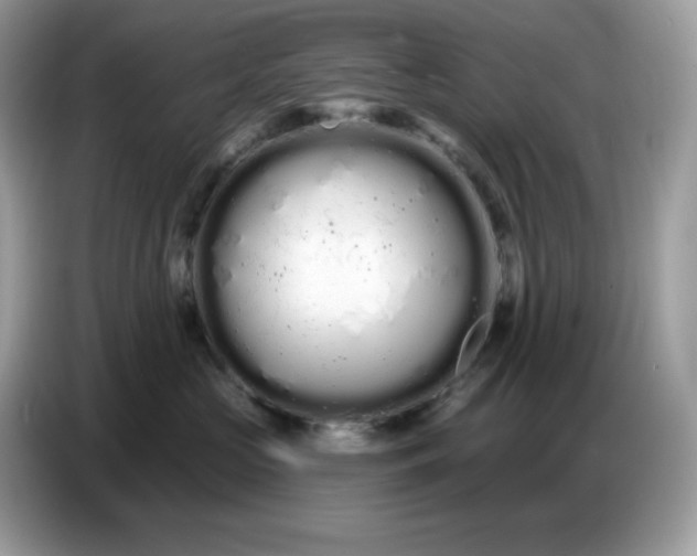 X0000086780573200704271812