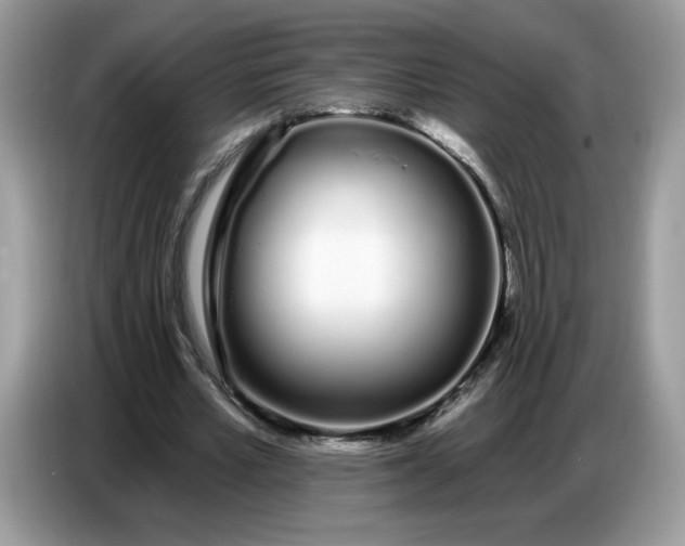 X0000086780581200704271812