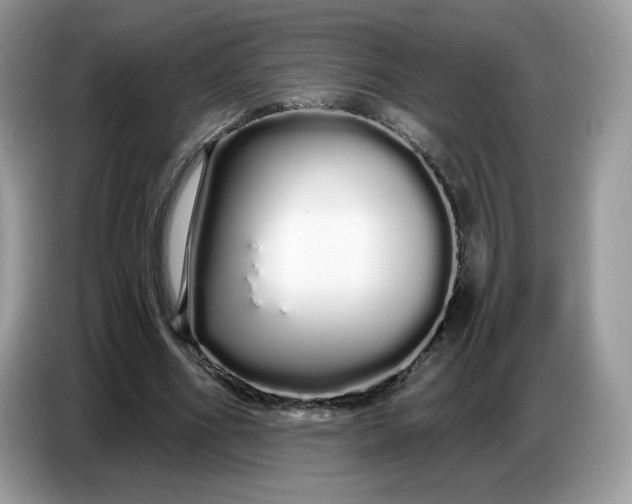 X0000086780586200704271812