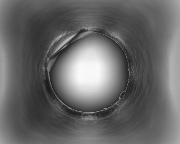 X0000086780587200704271812