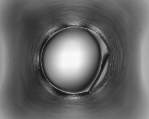 X0000086780589200704271811