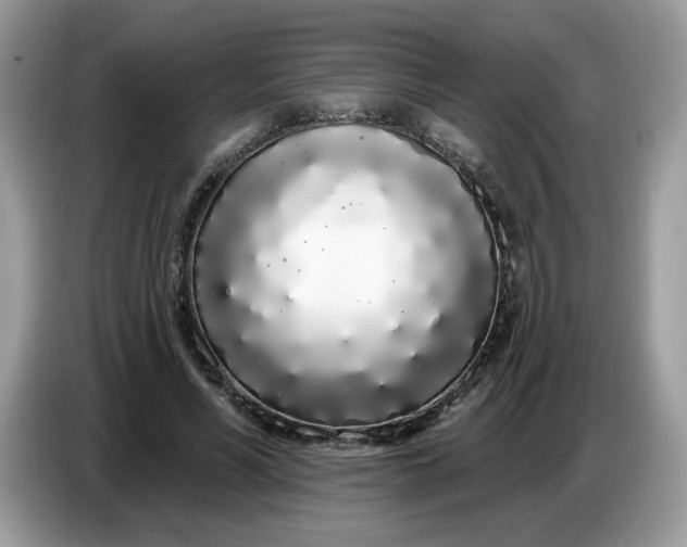 X0000086780590200704271811