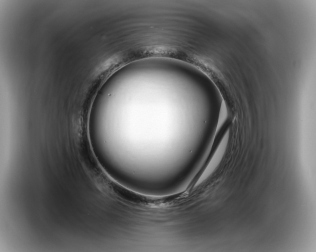 X0000086780591200704271811