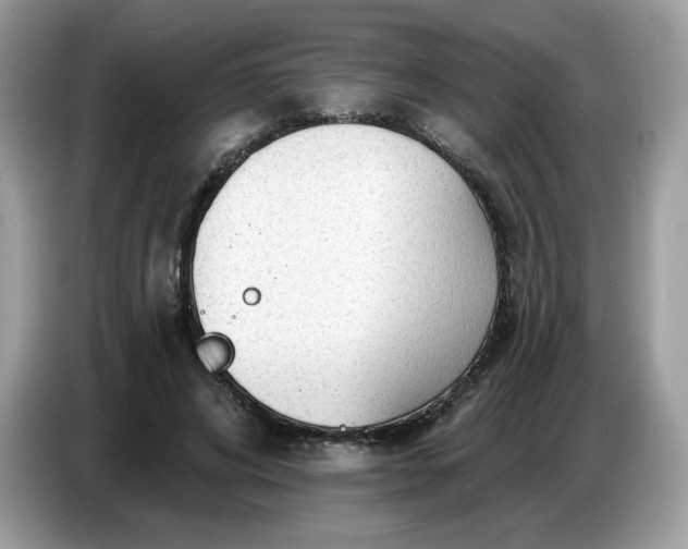 X0000086780592200704271811