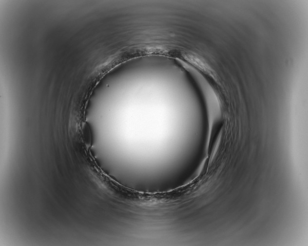 X0000086780593200704271811