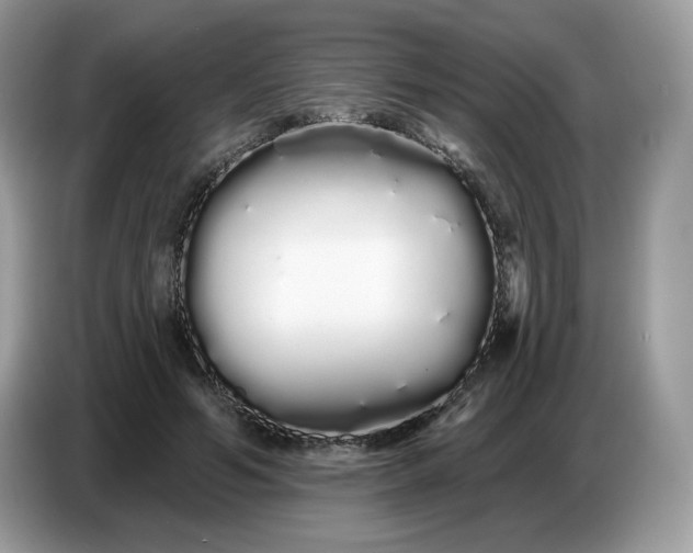 X0000086780594200704271811