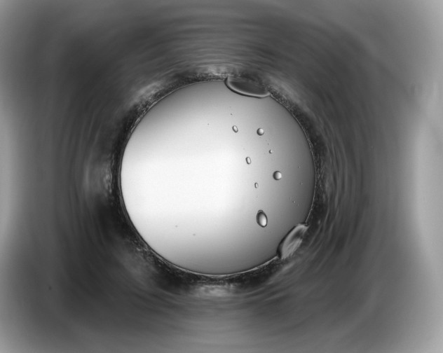 X0000086780595200704271811