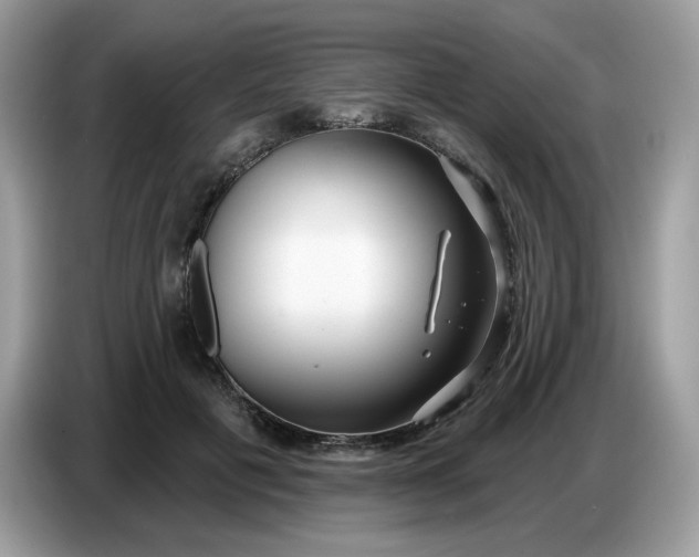 X0000086780601200704271811