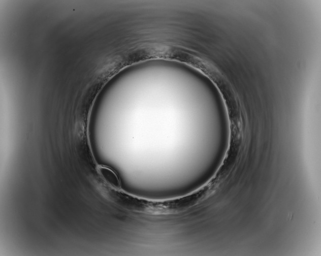 X0000086780602200704271811