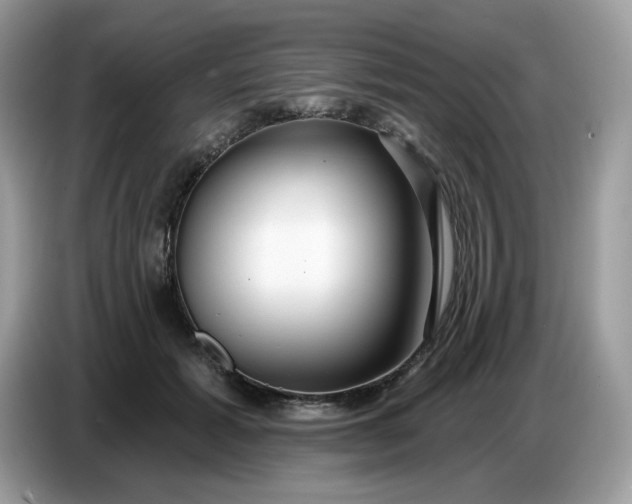 X0000086780605200704271811