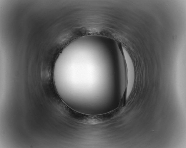 X0000086780608200704271811