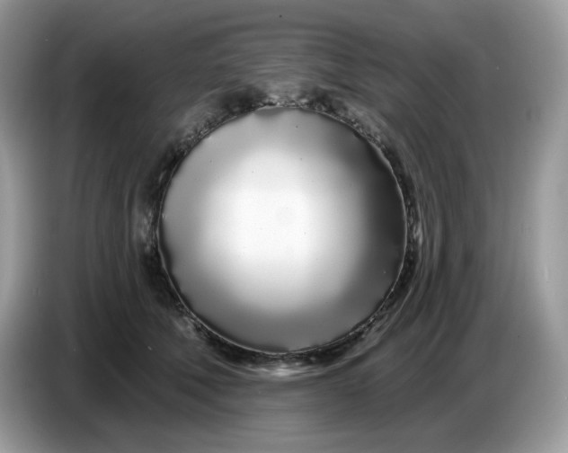 X0000086780610200704271811