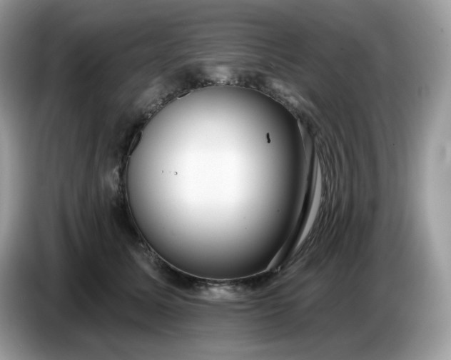 X0000086780611200704271811