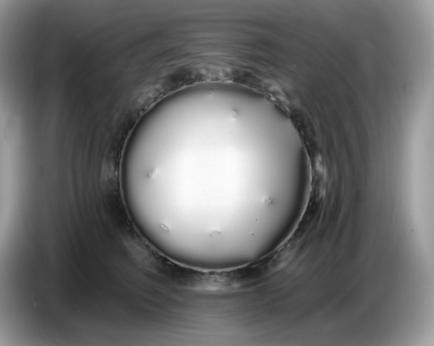 X0000086780614200704271811