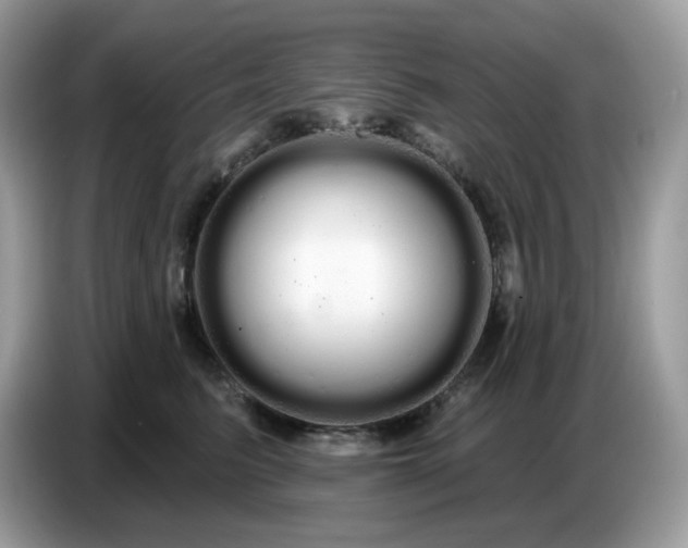 X0000086780615200704271811