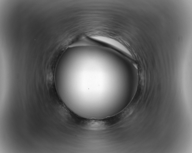 X0000086780617200704271811