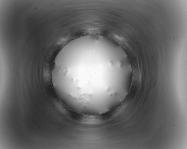 X0000086780622200704271811