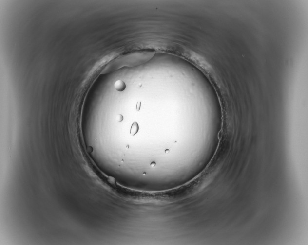 X0000086780625200704271810