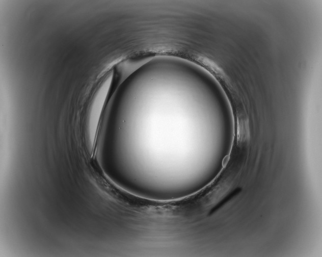 X0000086780627200704271810