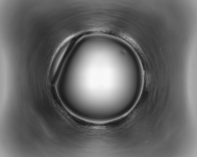 X0000086780628200704271810